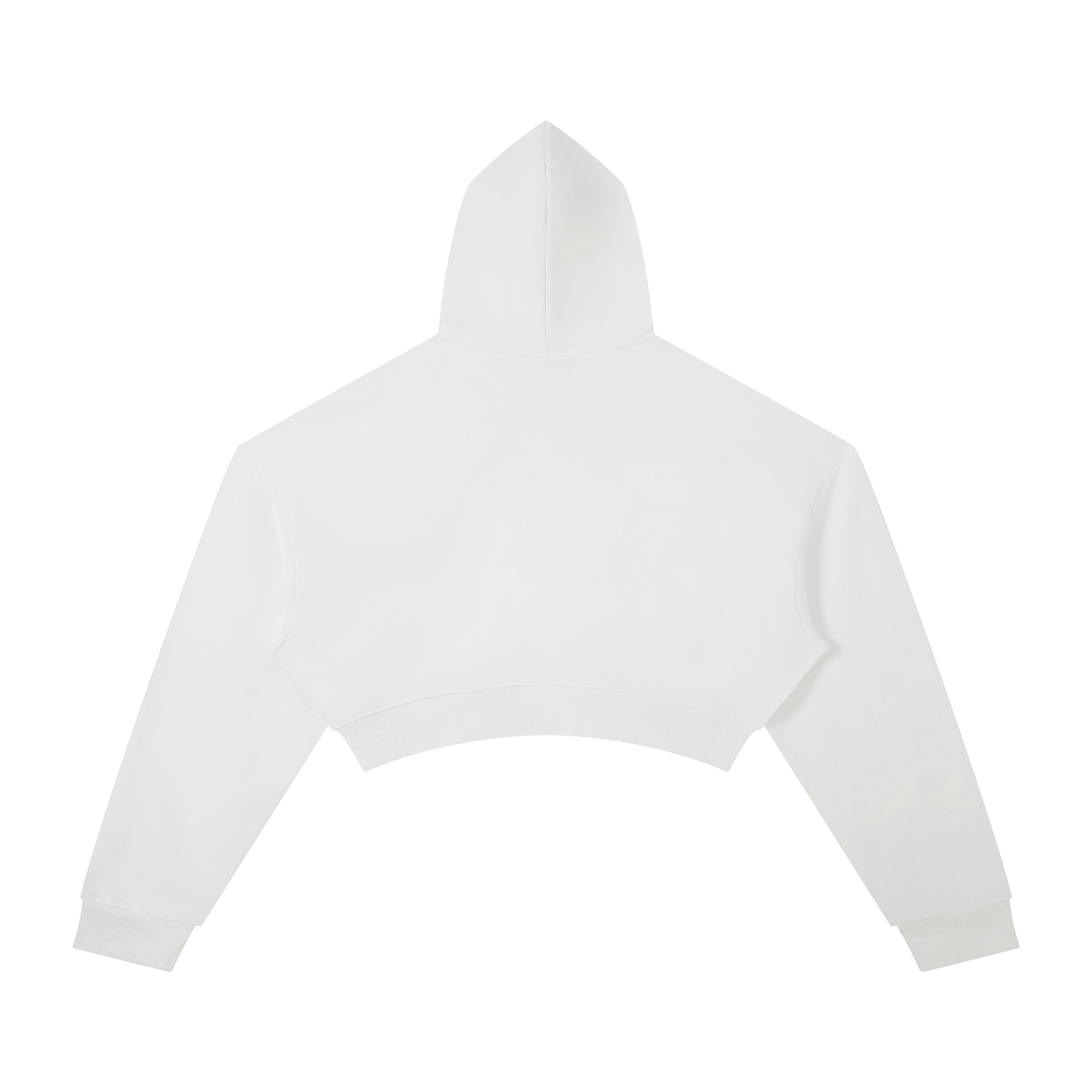 Nike shoe Cropped Hoodie