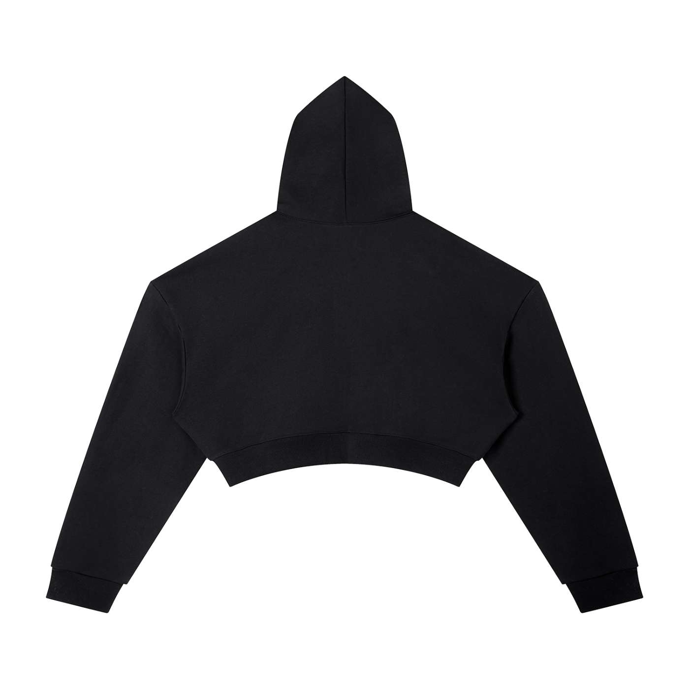 Nike shoe Cropped Hoodie